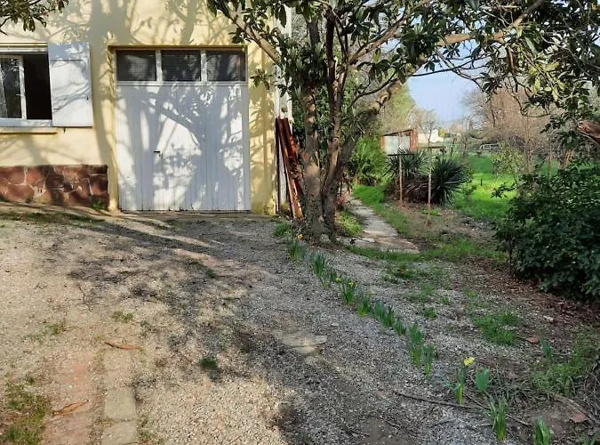 Maison Sur 2000m² D'espace Vert. *